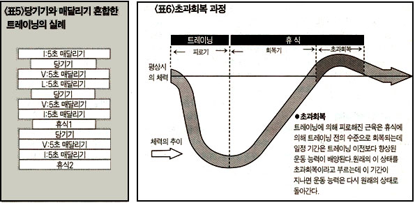 피라미드 근육