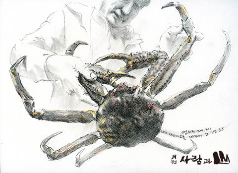 영덕 대게 너희가 대게 맛을 알아? 겨울엔 역시 대게가 최고지!