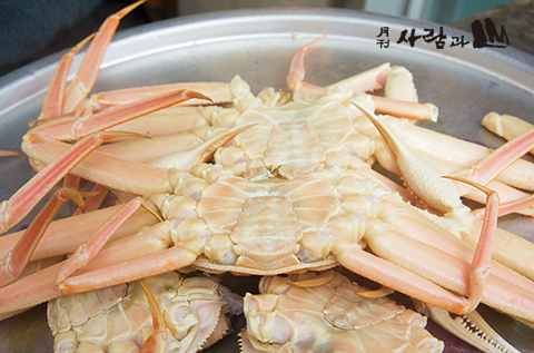 영덕 대게 너희가 대게 맛을 알아? 겨울엔 역시 대게가 최고지!