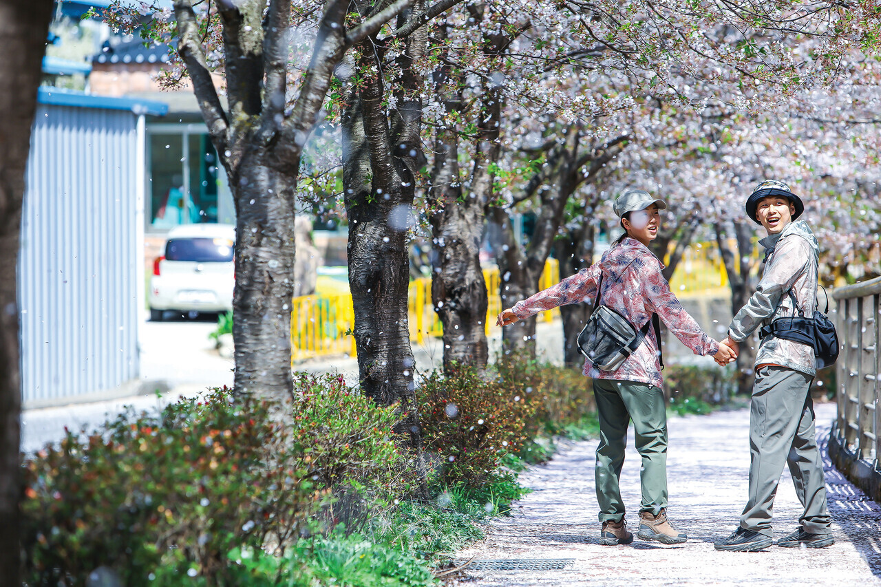 덕천서원 산책길을 걷는 김영록, 박하영 커플. 박하영씨의 벚꽃과 어울리는 플라워프린트 바람막이가 눈에 띈다.