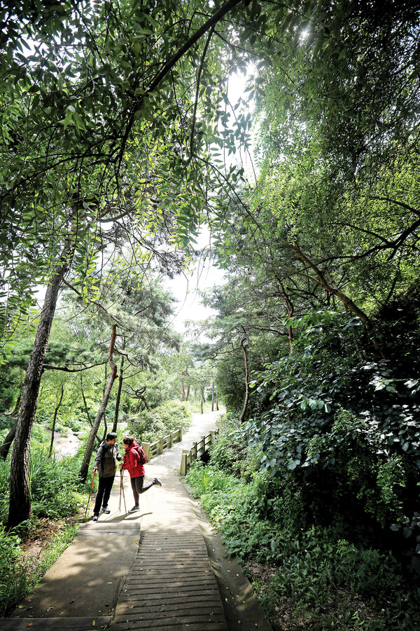 수성동계곡부터는 인왕산둘레길을 따라 숲길 트레킹을 즐겼다.
