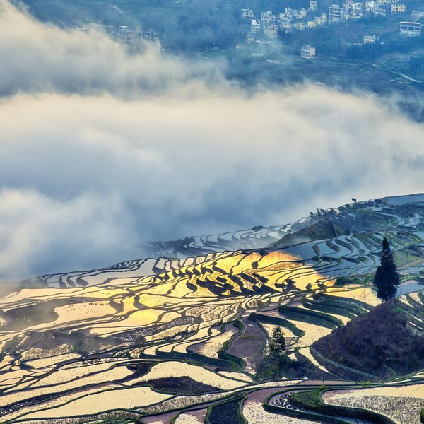 인간과 자연의 복합예술 : 원양제전 (Yuanyang Rice teraces: 元阳梯田)