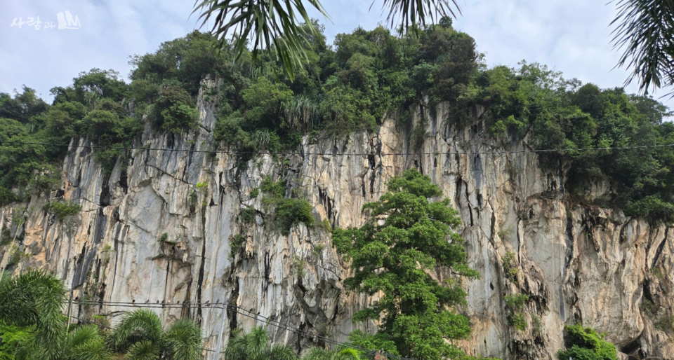 ����ϰ� �����ǰ� �ִ� ������ Ŭ���̹� ����