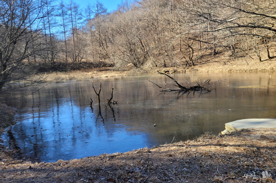 ���ȿ� �ִ� �ټ� ���� �� �ϳ��� ������ �����. 70��� ȭ�� ������ �ϱ� ���� �� ������ ��Ҵ� ������ ������ ��� ���Ĺ��� ������ �Ǿ��ִ�.