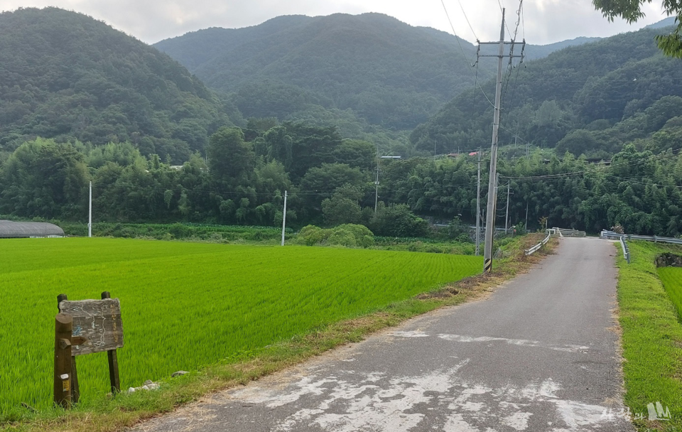 �������� �Ա� ����