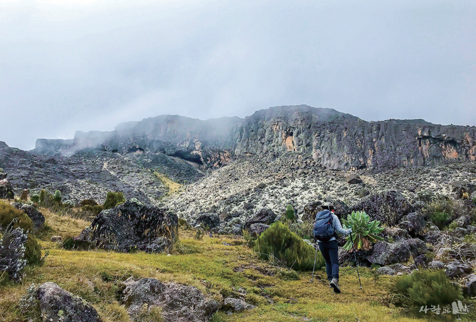 ų�����ڷ� ������ ���ϴ� �����, �̵��� �������� ǥ���� �������� ���� ������ ������?