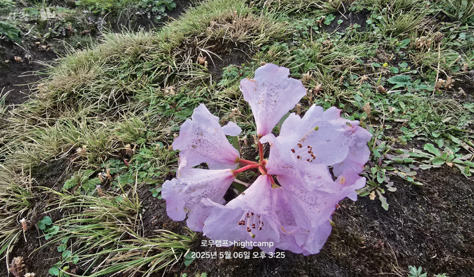 ������ ���� ���� �Ⱦ� ���� �����׶� �� �Ѽ���,