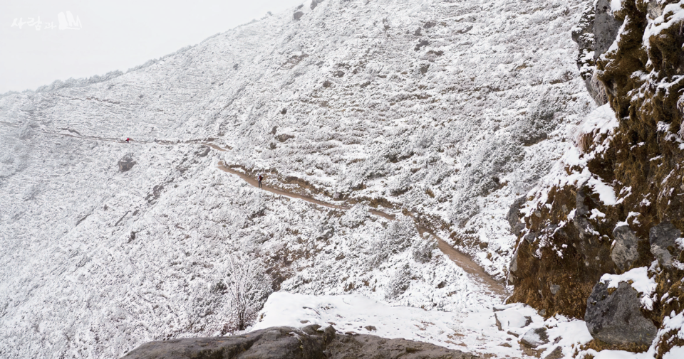 ������ ������ ��췯�� ��巯�� ������� ���� �տ��� ���� �ذ� ���� �Ұ� �ȴ�.